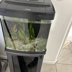 Biocube Tank With Setup 