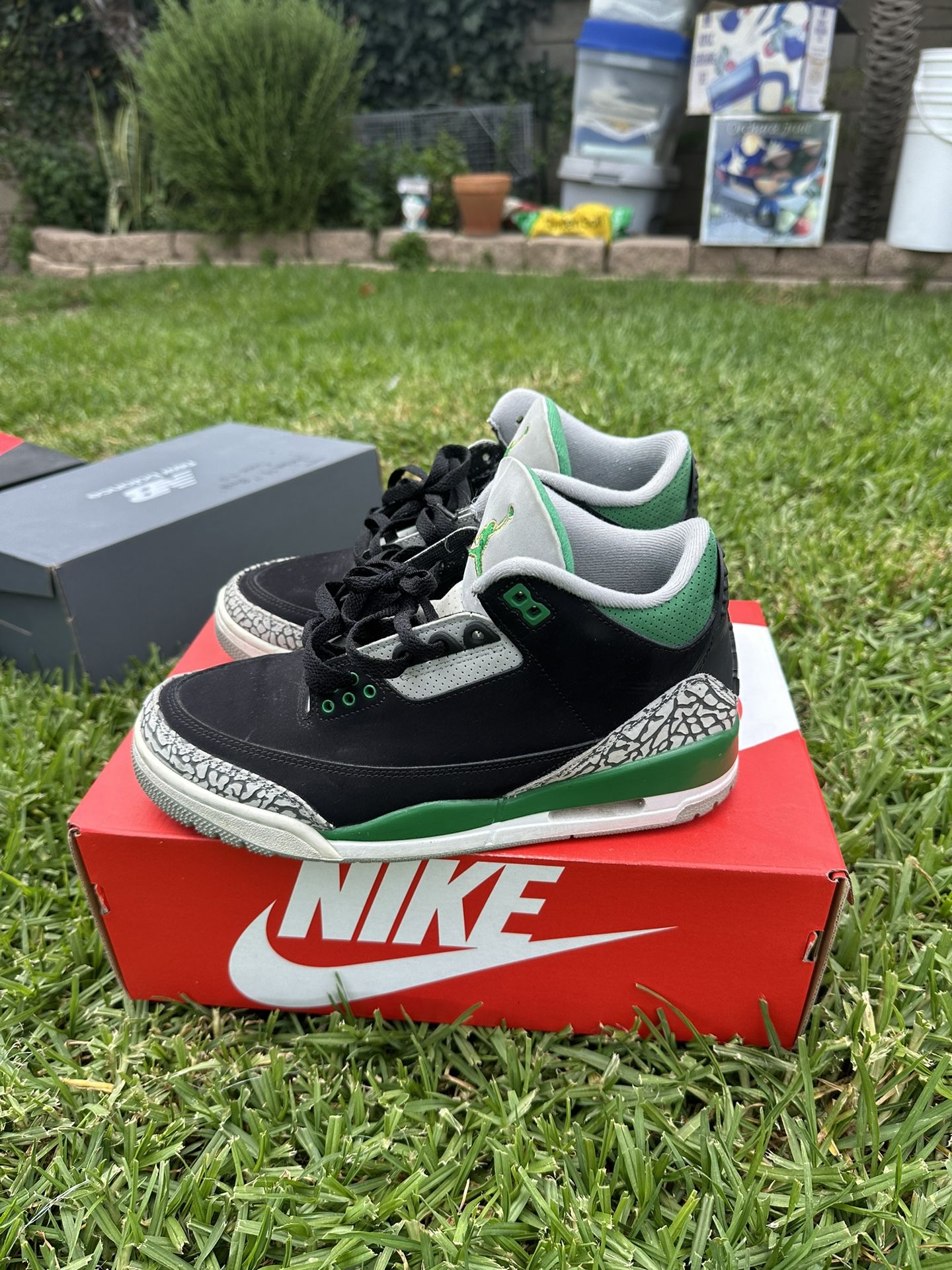 jordan 3 pine green
