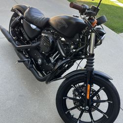 2017 Harley Iron 883