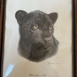 Pre Owner Vintage CHARLES FRACE Collection Of Wild Animals With His Signature SALE $ 50  O.B.O  Each 🍀