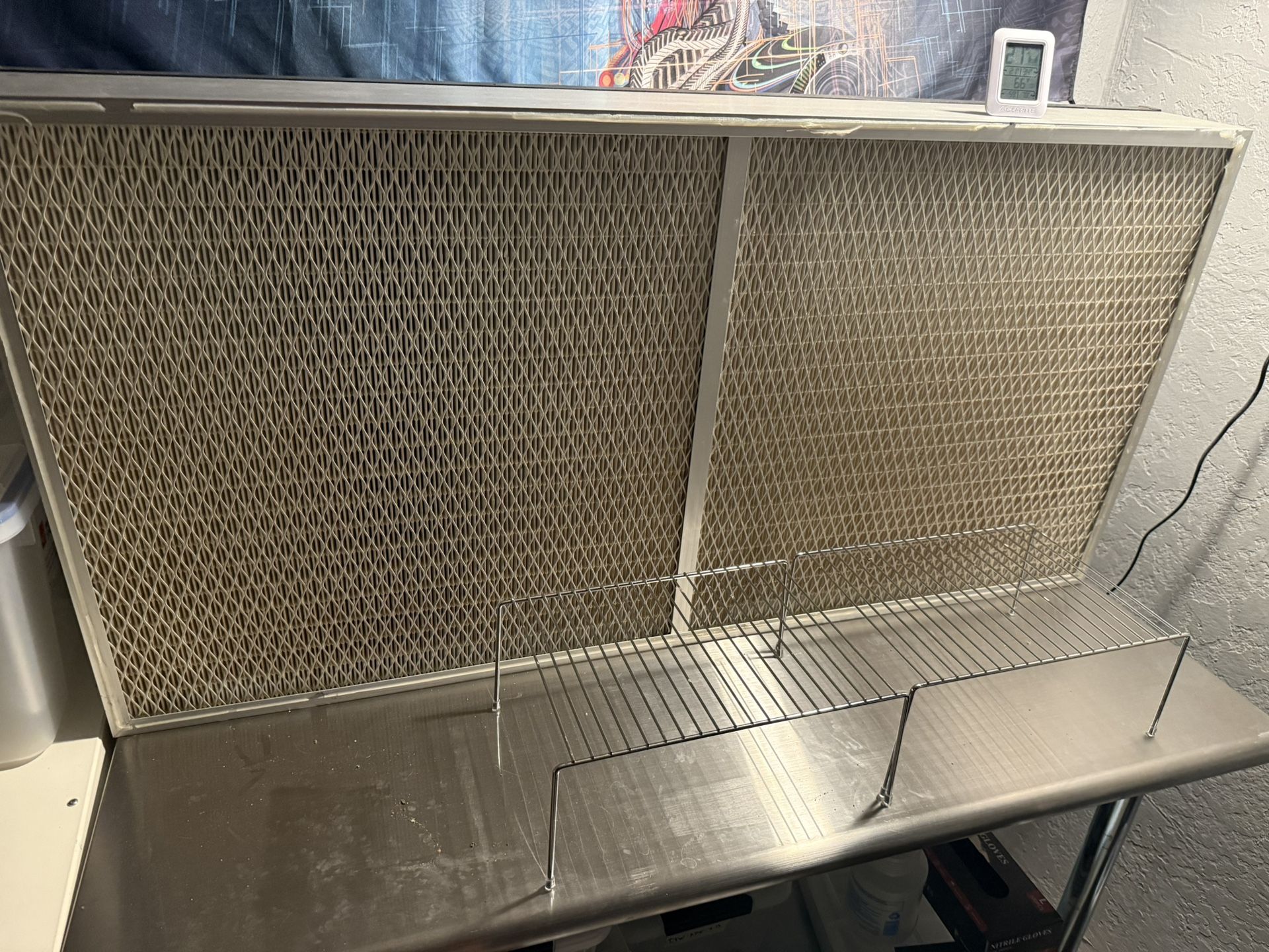 Mycology Flow Hood