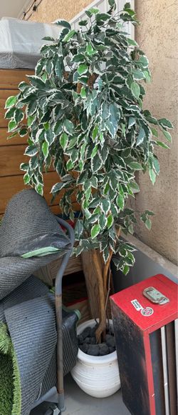 Two Artificial Trees