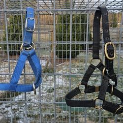 2 Llama Halters - Sizes L & XL