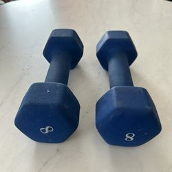 8LB Weights 