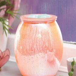 Scentsy Summer Rain Warmer 