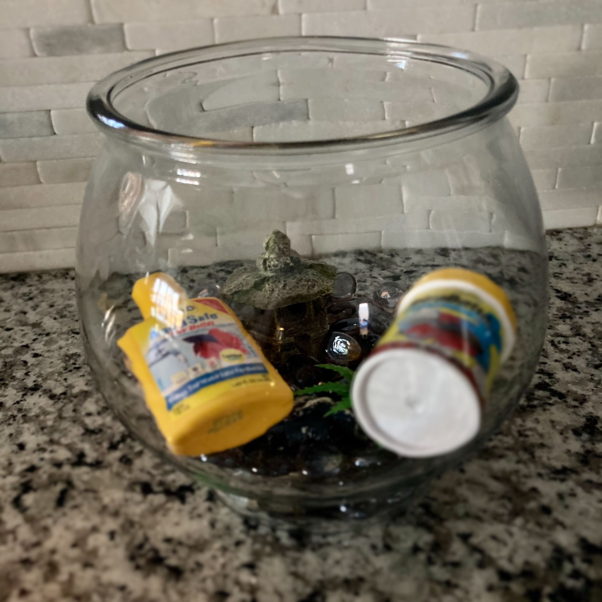 Fish bowl with accessories