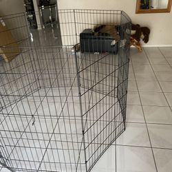 Exercise Pen  8 Panels 42 inches 