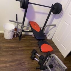 Bench And Dumbbells 