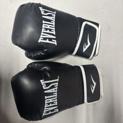 Everlast Boxing Gloves