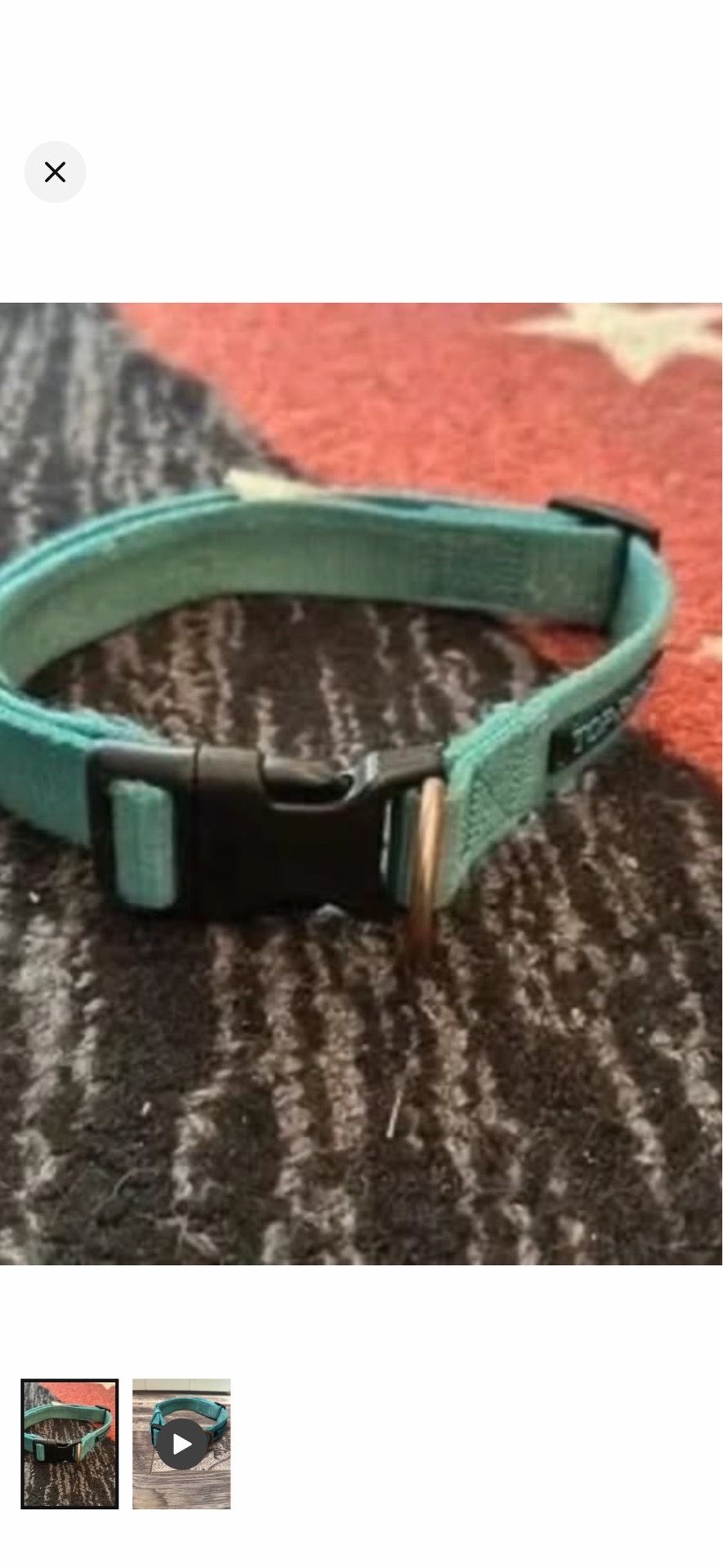 Medium dog collar