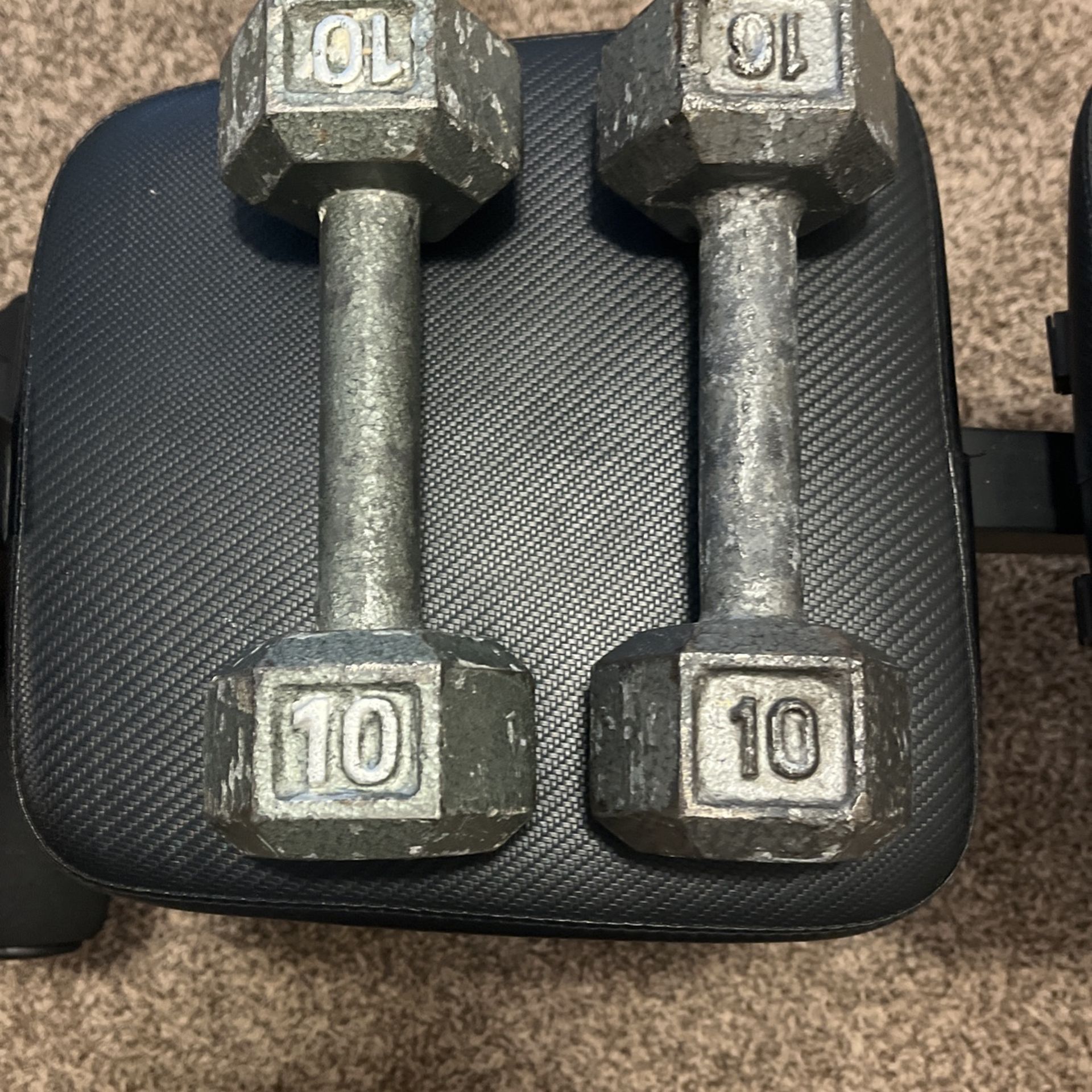 10 Ibs Dumbbells