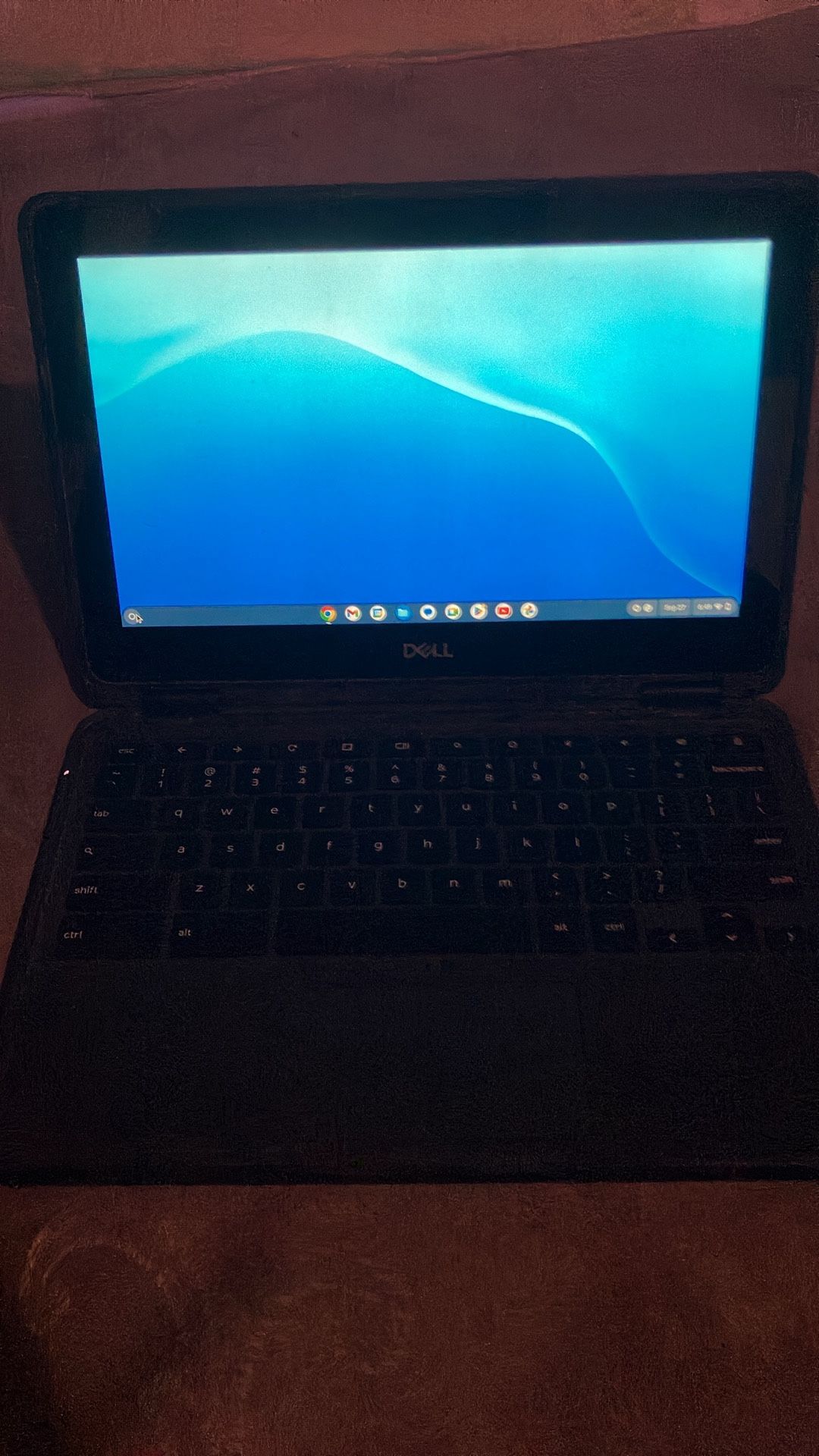 Dell Chromebook 3100 2 In 1