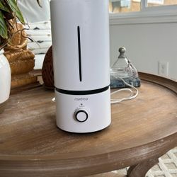Humidifier 