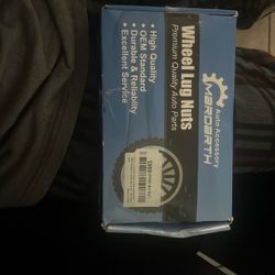 Wheel Lug Nuts