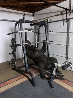 Smith Machine 250lbs of Weights