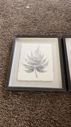 Set of 2 Framed Botanical Wall Art Prints