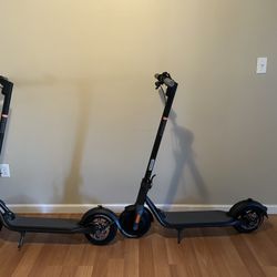 F25 Ninebot Scooters