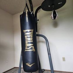 Everlast Punching bad - sand bag - speed bag - with dual stand - $250 (Vancouver)