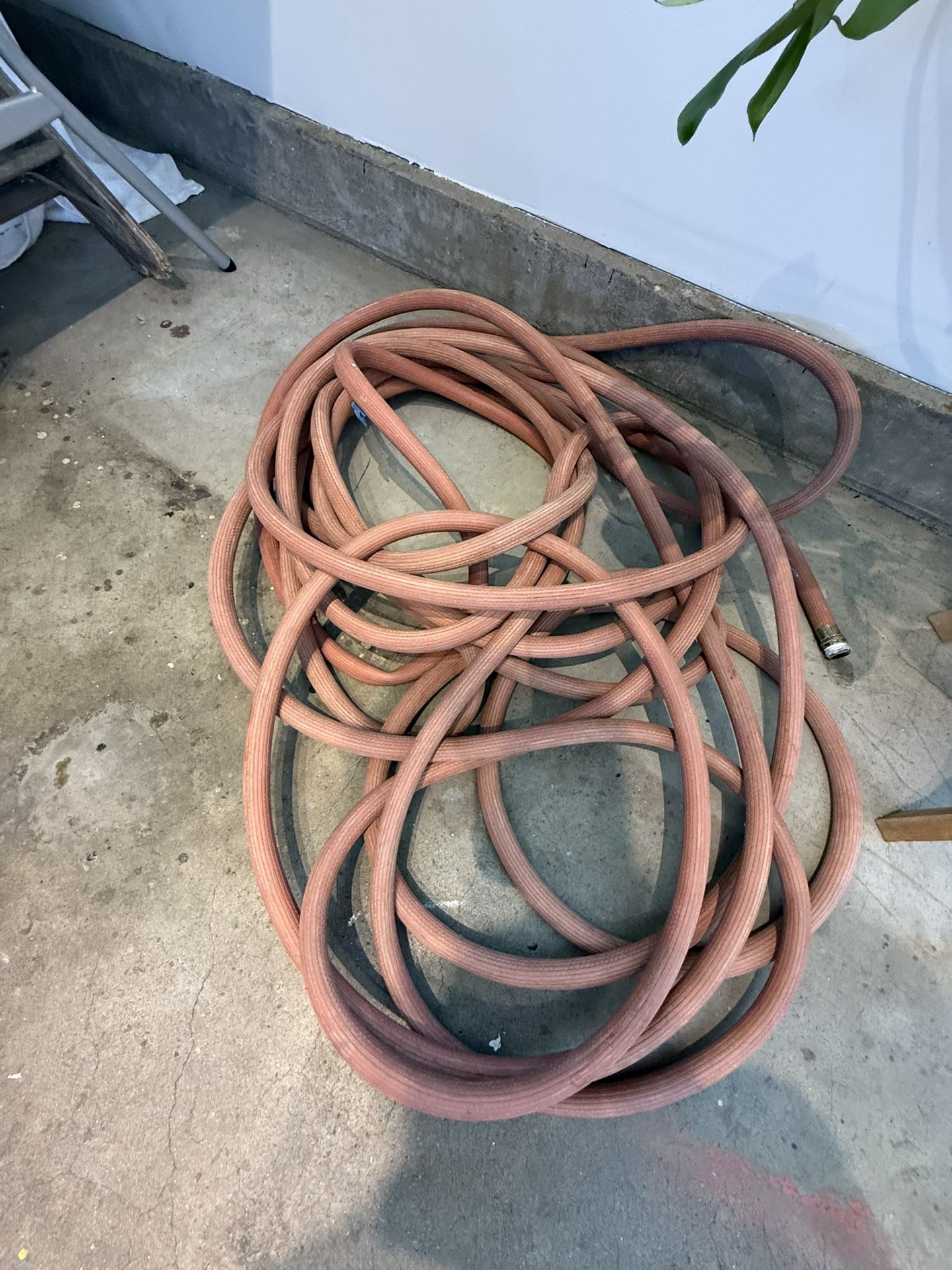 Hose 10 Bucks Xtra Long