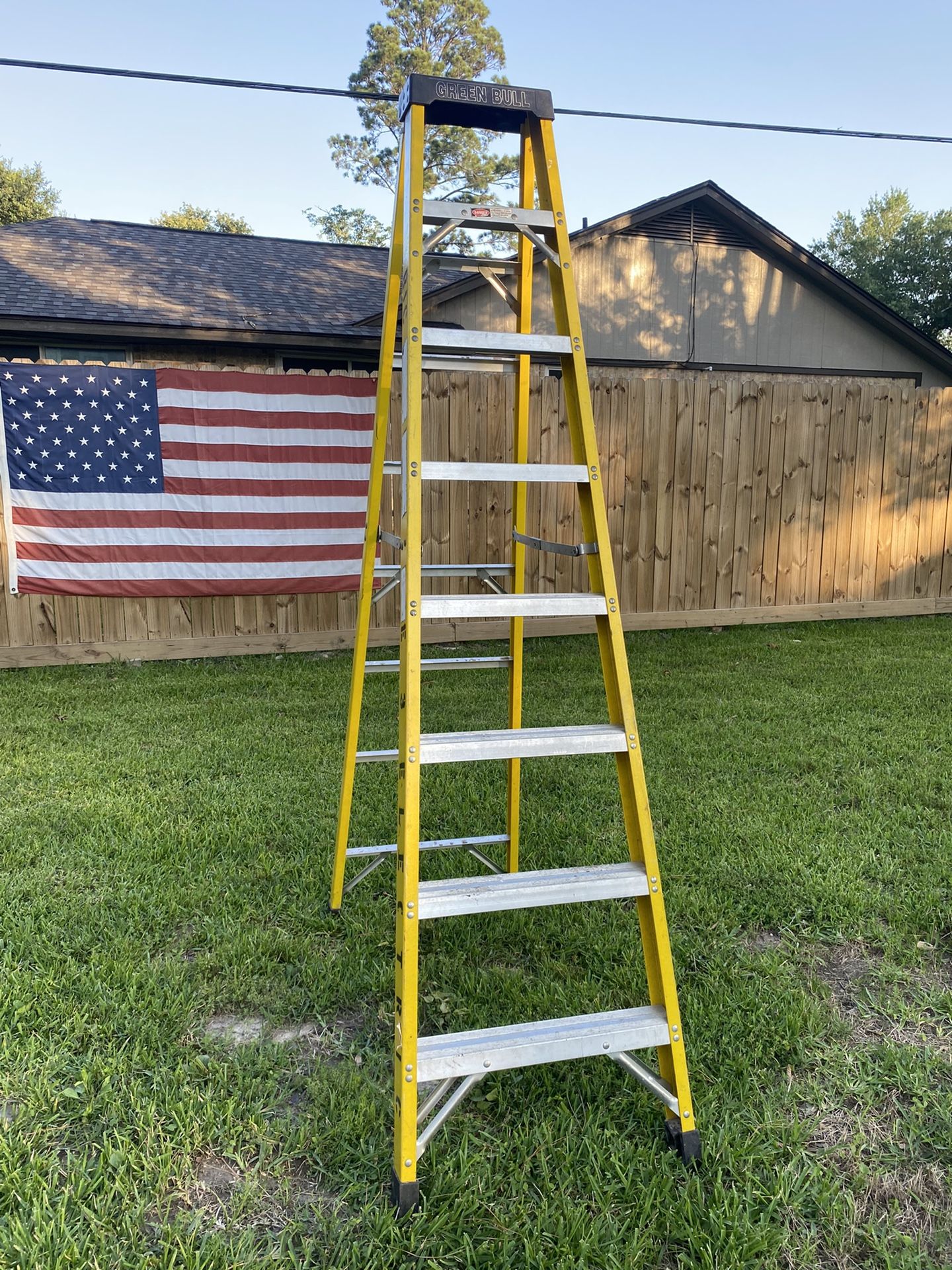 8’ Ladder Green. Bull.