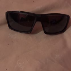 Locs Sunglasses 