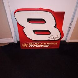 2003 Budweiser Racing Dale Earnhardt JR. #8