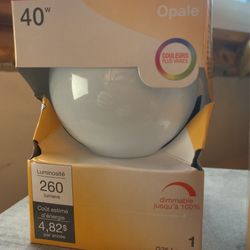 Sylvania Soft White Globe 14287 Medium Base Bulbs 40W