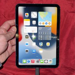 iPad Mini Cellular + WiFi 