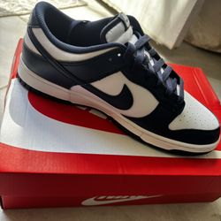9.5 Nike Dunks 