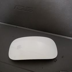 Apple Mouse 