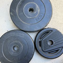 Weights And Bench