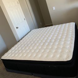 KING STEARNS ABD FOSTER MATTRESS AND FREE BOX SPRINGS