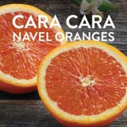 Cara Cara red Navel Oranges Grafted Dwarf Trees  🌳  In 7gal Arboles  de naranja Cara Cara Injertados 