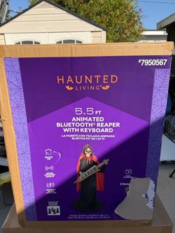 Halloween Decorations