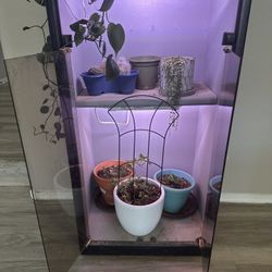 Cabinet / Plant Nursery 