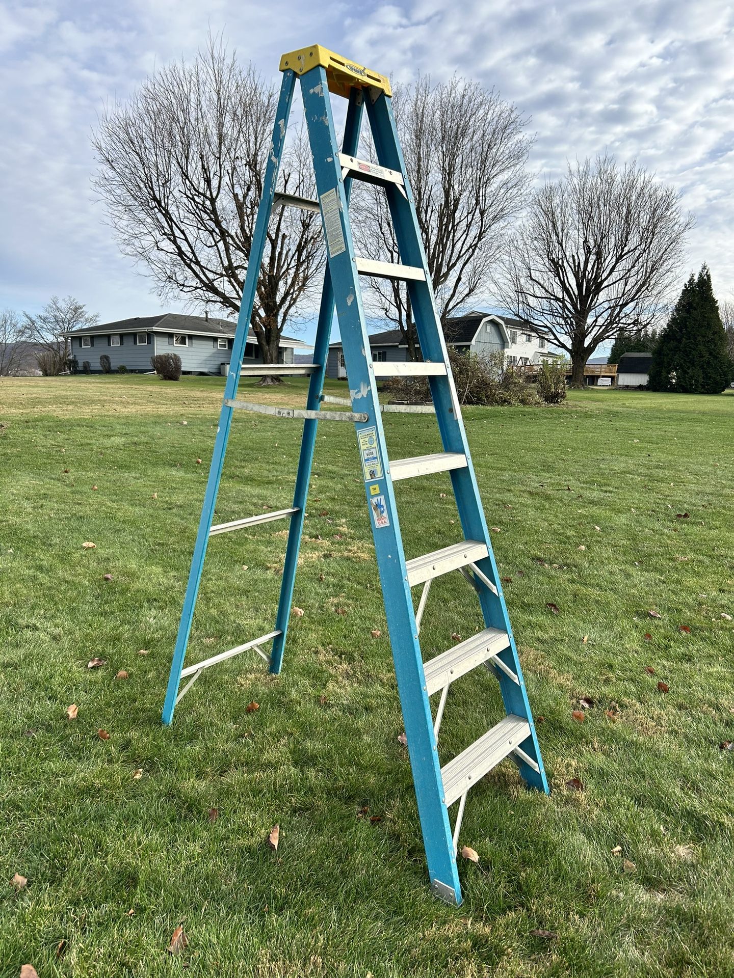 LADDER