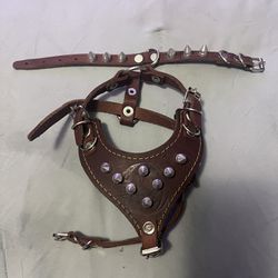 Spiked X-Small Leather Dog Harness And Matching Collar