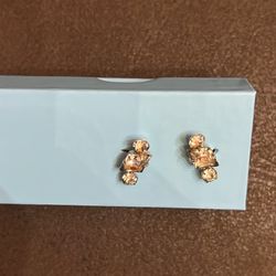Fake Diamond Earrings Without Targe, Used 