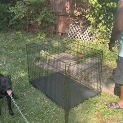 Dog Cage 