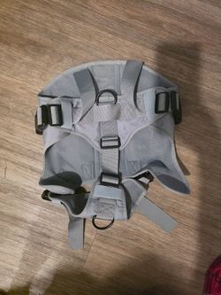 Dog Harness