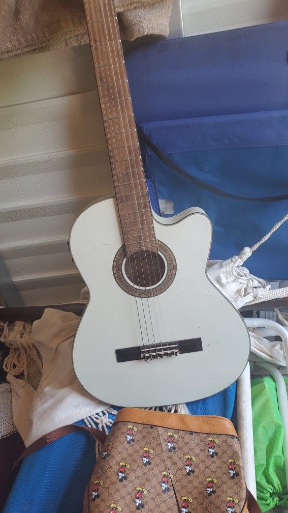 Sonica Accustic And Eletric Guitar