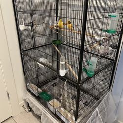 Large Cage For Canary 
