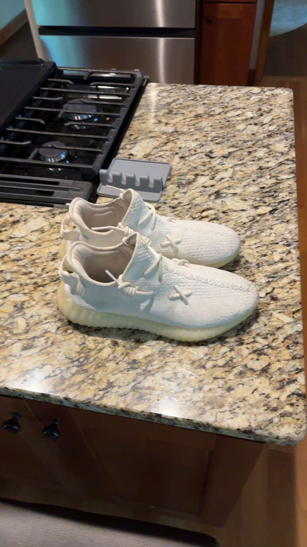 Adidas Yeezy Boost 350 V2