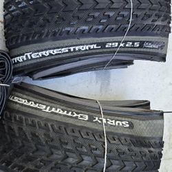 Surly Extraterrestrial 