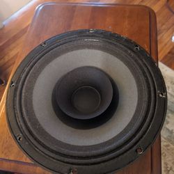 10" Bass Guitar Drivers