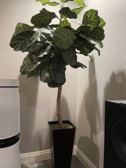 Artificial Indoor Plant