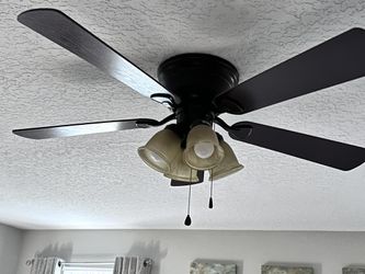 Fan 5 Blades