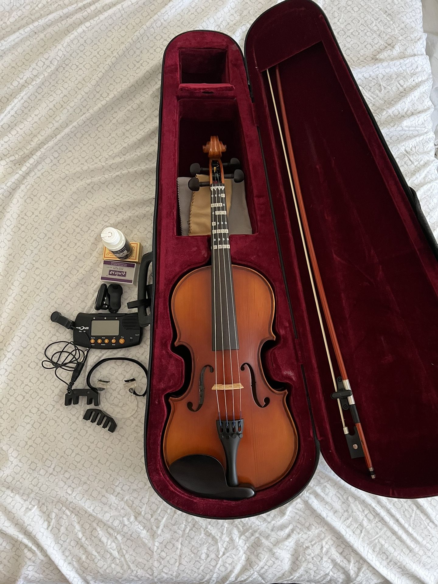 Violin