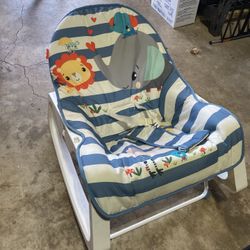Infant To Toddler Rocker