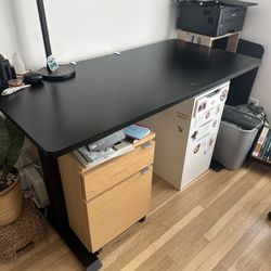 55 x 28” Electric Stand Up Height Adjustable Desk